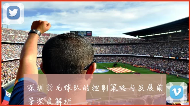 深圳羽毛球队的控制策略与发展前景深度解析