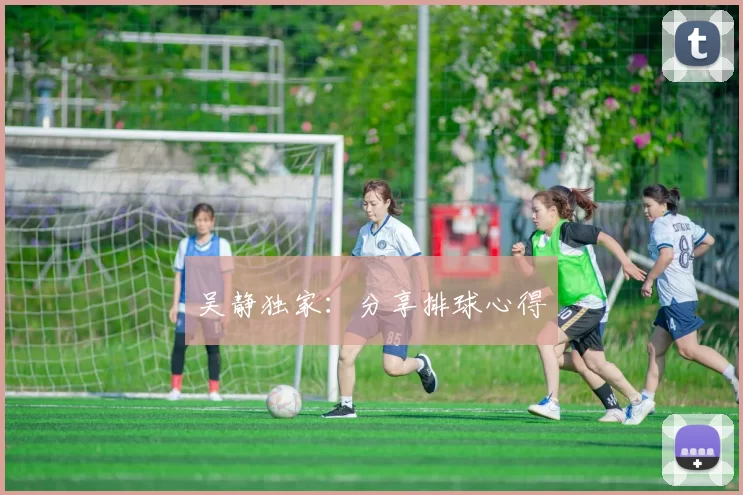 吴静独家：分享排球心得