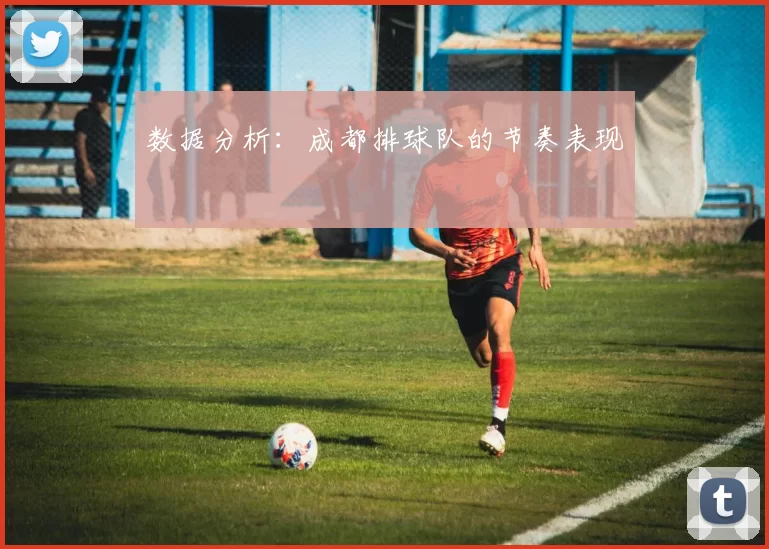 数据分析：成都排球队的节奏表现