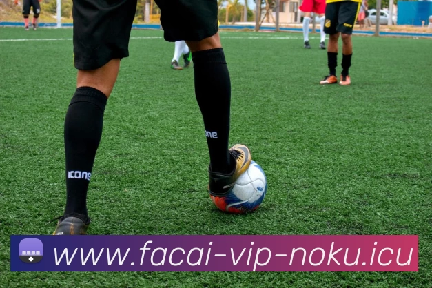 MK体育品牌故事