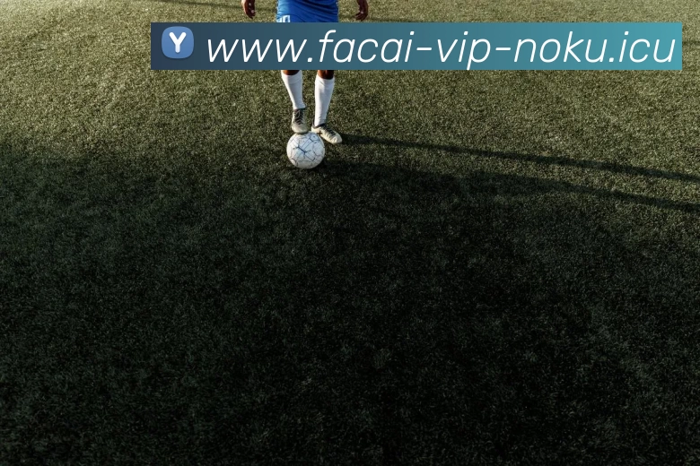 MK体育服务体系